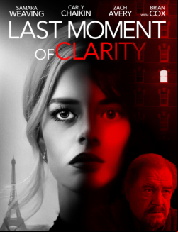 Last Moment of Clarity FRENCH WEBRIP 1080p 2020